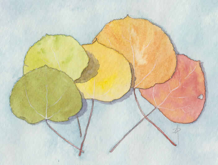 Rock Creek Gems (available at the Black Sheep)