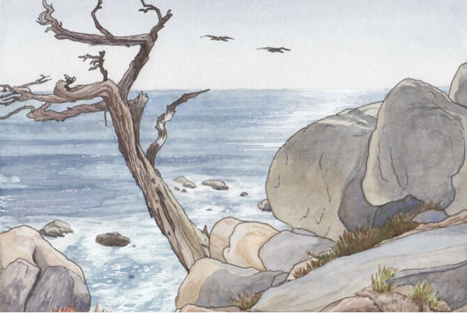 Ghost Cypress (sold)