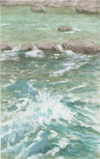 A Montana South Fork (sold)