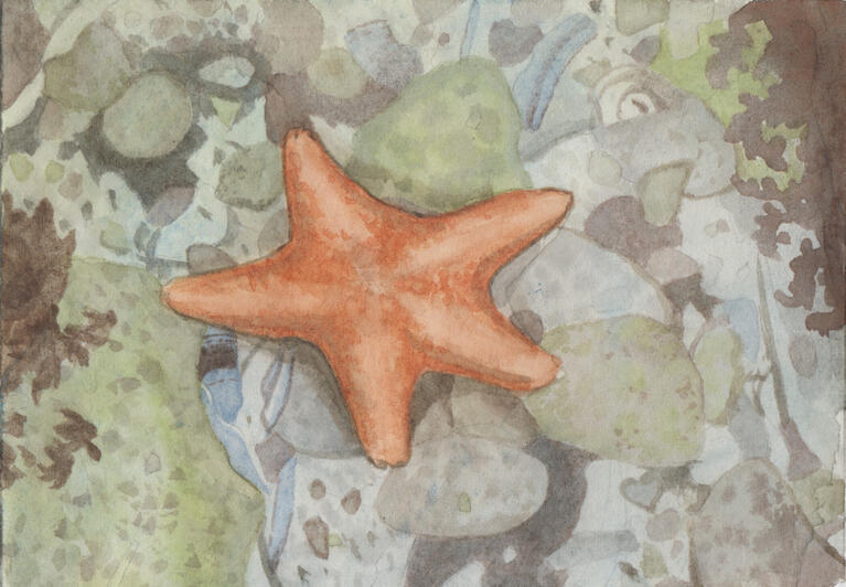 Hannah's Star (sold)